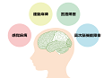 認知症について、「より深く理解していきたい」という方へ向けて、よく耳にする認知症から聞きなれない認知症を【7つ】取り上げて、ご紹介していきます。 興味のある箇所をお読みいただければ幸いです。